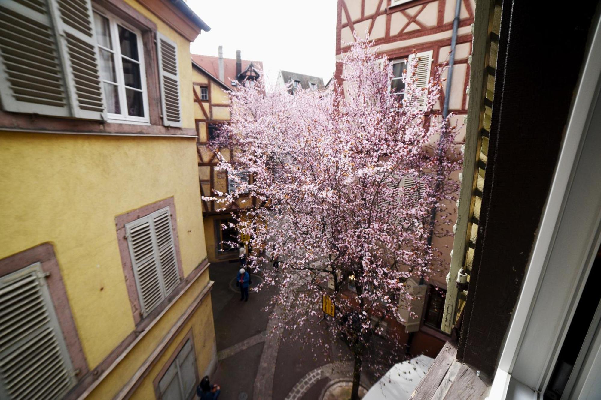 Gite Bim Maidala Кольмар Экстерьер фото